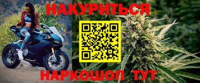 хмурый Тула